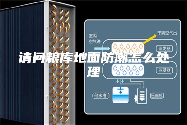 请问粮库地面防潮怎么处理