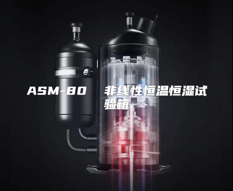 ASM-80  非线性恒温恒湿试验箱