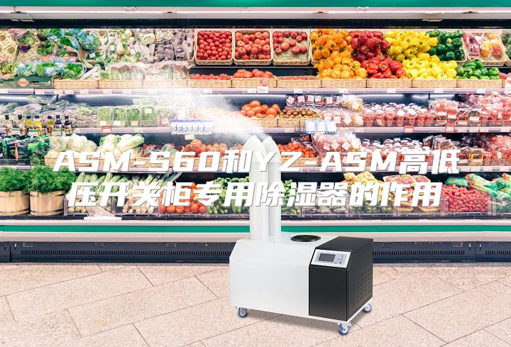 ASM-S60和YZ-ASM高低压开关柜专用除湿器的作用