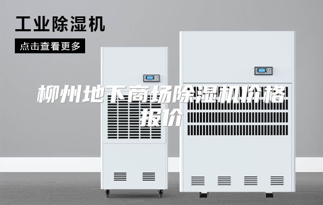 柳州地下商场除湿机价格报价