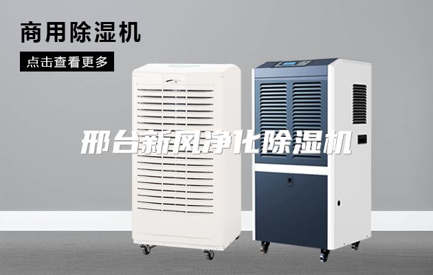 邢台新风净化除湿机