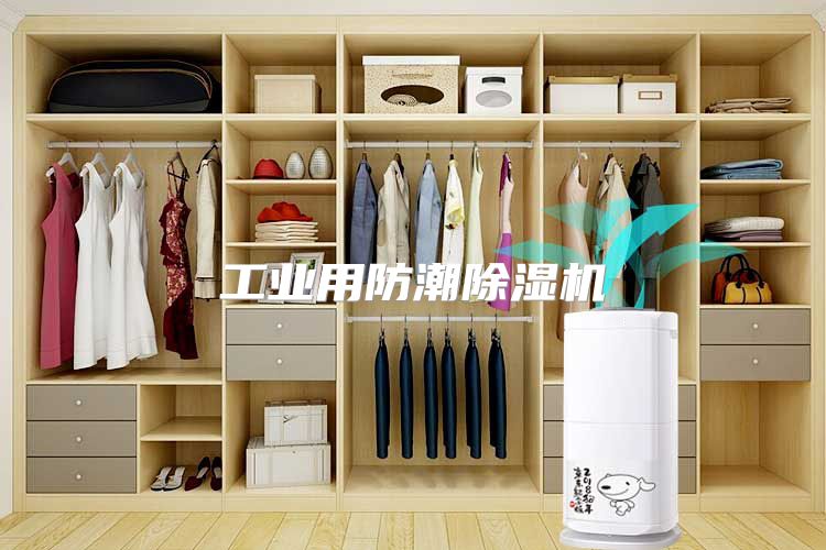 工业用防潮除湿机