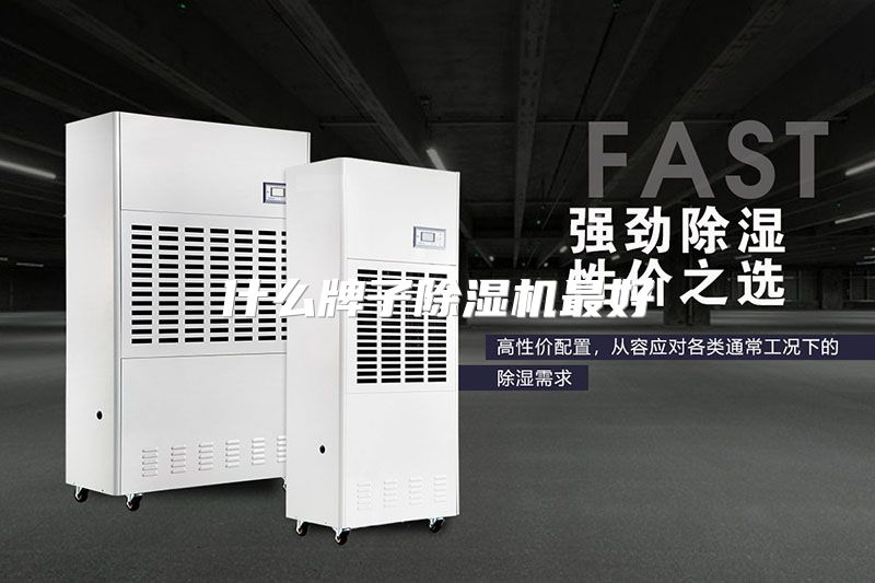 什么牌子除湿机最好