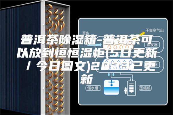 普洱茶除湿箱-普洱茶可以放到恒恒湿柜(5日更新／今日图文)2023已更新