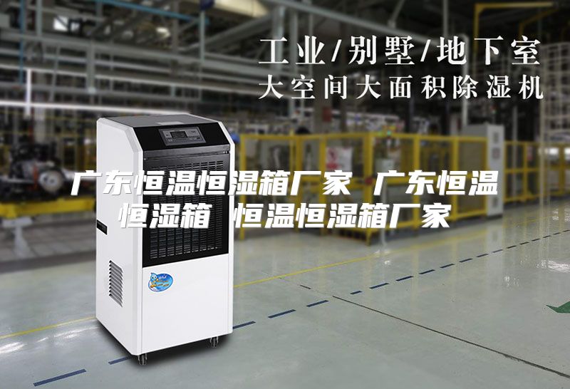 广东恒温恒湿箱厂家 广东恒温恒湿箱 恒温恒湿箱厂家