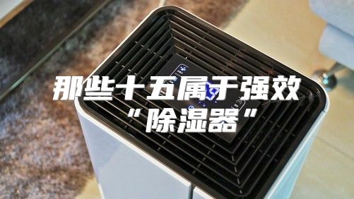 那些十五属于强效“除湿器”