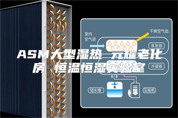 ASM大型湿热 元耀老化房 恒温恒湿实验室