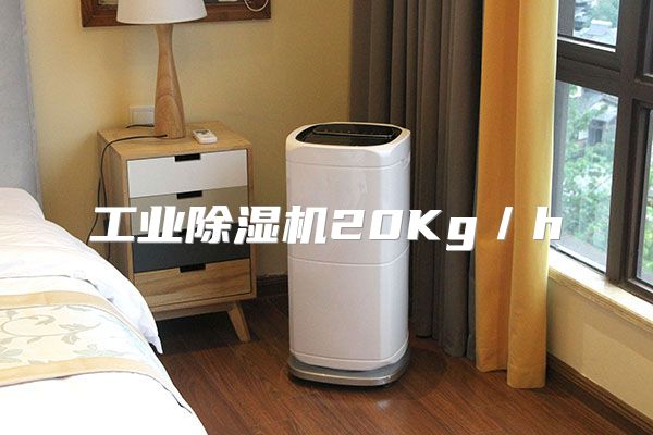 工业除湿机20Kg／h