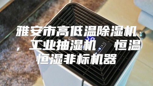 雅安市高低温除湿机，工业抽湿机  恒温恒湿非标机器