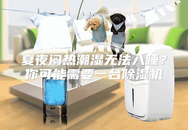 夏夜闷热潮湿无法入睡？你可能需要一台除湿机