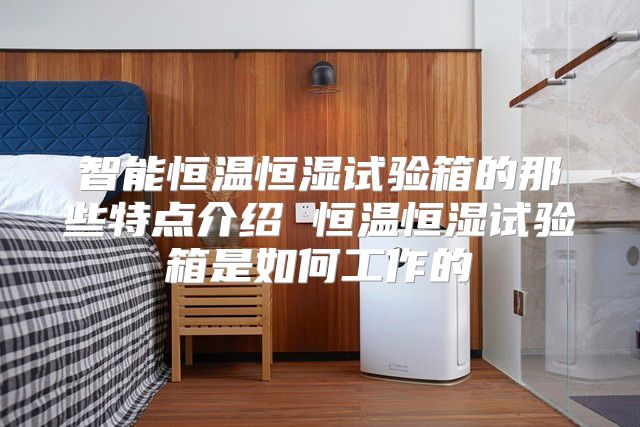 智能恒温恒湿试验箱的那些特点介绍 恒温恒湿试验箱是如何工作的