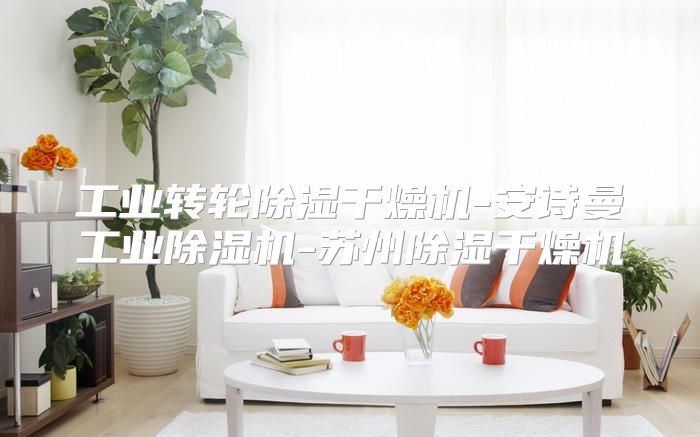 工业转轮除湿干燥机-安诗曼工业除湿机-苏州除湿干燥机