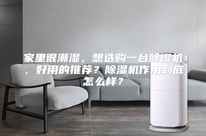 家里很潮湿，想选购一台除湿机，好用的推荐？除湿机作用到底怎么样？