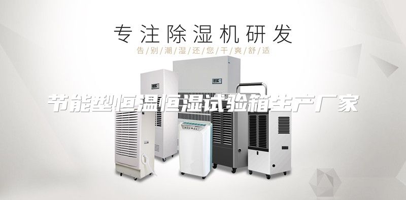 节能型恒温恒湿试验箱生产厂家