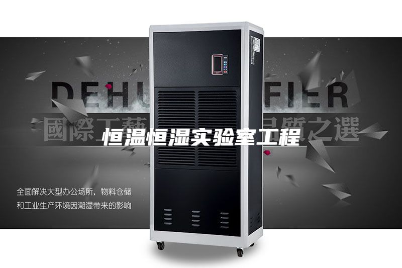 恒温恒湿实验室工程