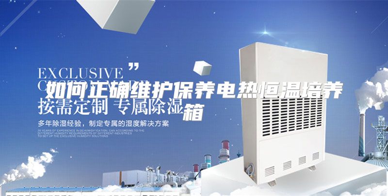如何正确维护保养电热恒温培养箱