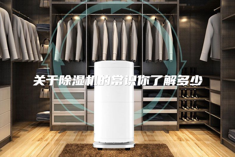 关于除湿机的常识你了解多少
