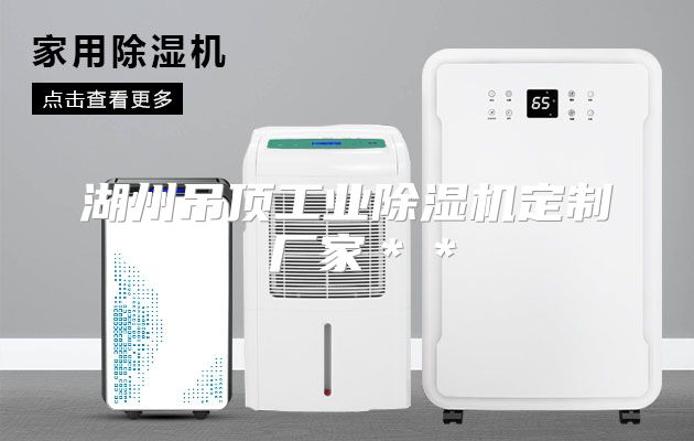 湖州吊顶工业除湿机定制 厂家＊＊