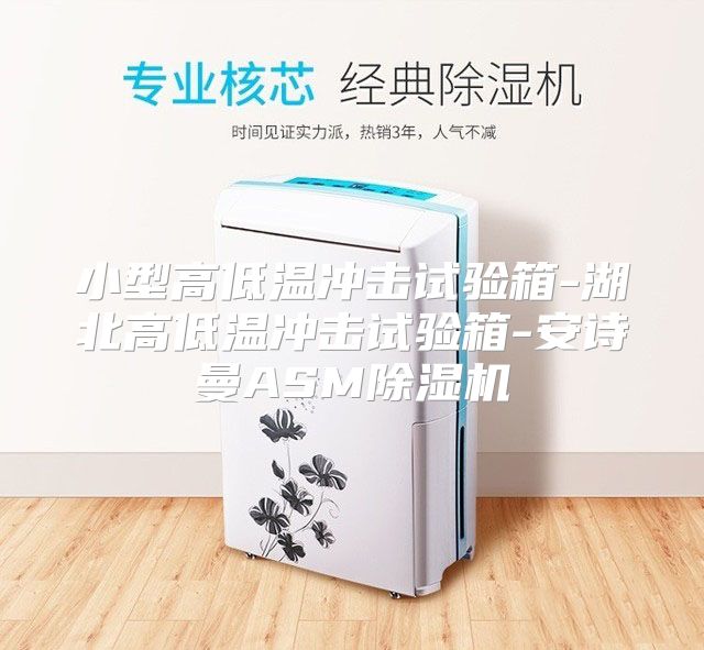 小型高低温冲击试验箱-湖北高低温冲击试验箱-安诗曼ASM除湿机