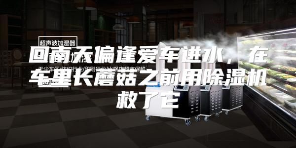 回南天偏逢爱车进水，在车里长蘑菇之前用除湿机救了它