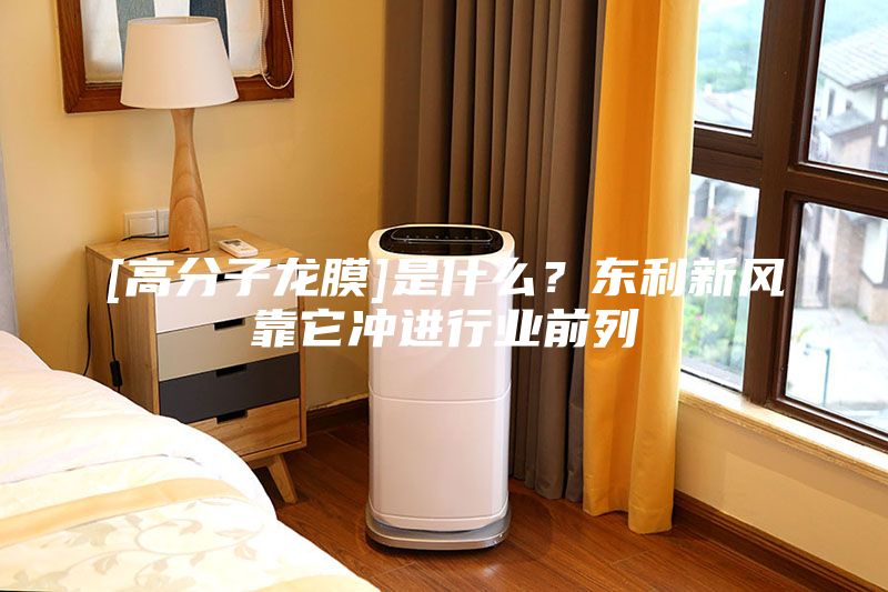[高分子龙膜]是什么？东利新风靠它冲进行业前列
