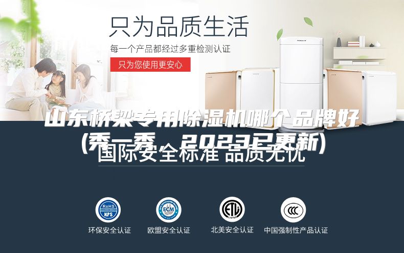 山东桥梁专用除湿机哪个品牌好(秀一秀，2023已更新)