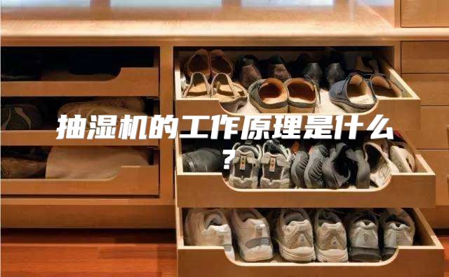 抽湿机的工作原理是什么？