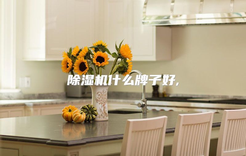 除湿机什么牌子好,