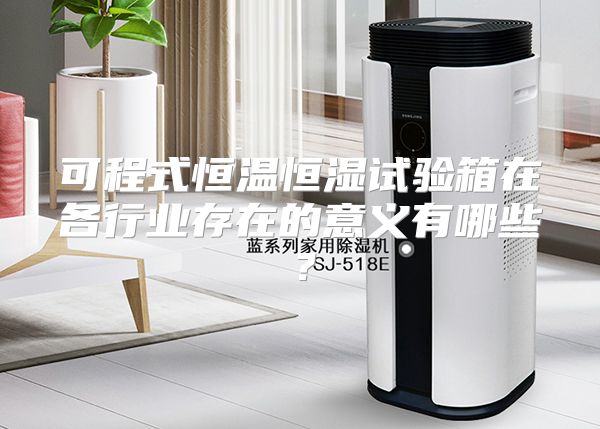 可程式恒温恒湿试验箱在各行业存在的意义有哪些？
