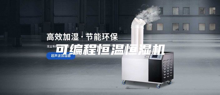可编程恒温恒湿机