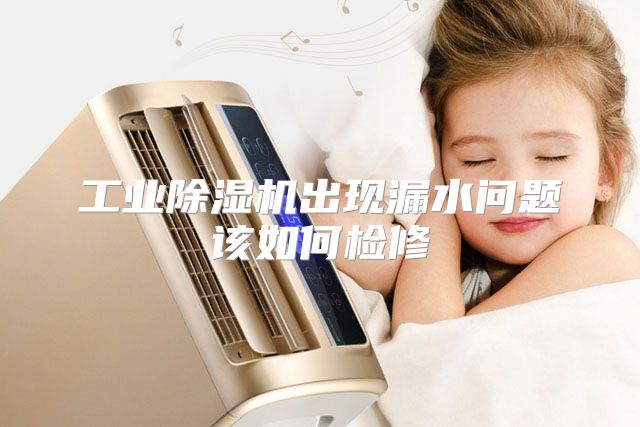 工业除湿机出现漏水问题该如何检修