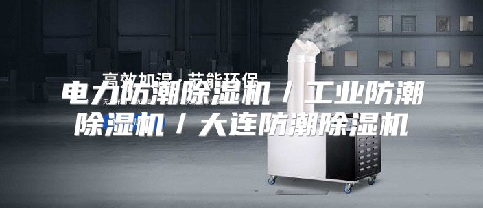 电力防潮除湿机／工业防潮除湿机／大连防潮除湿机