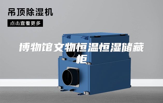 博物馆文物恒温恒湿储藏柜