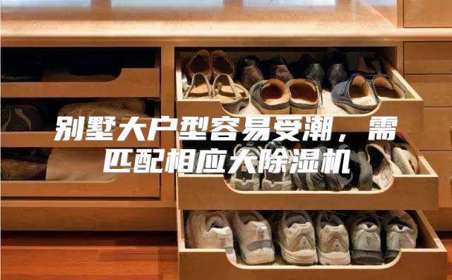 别墅大户型容易受潮，需匹配相应大除湿机