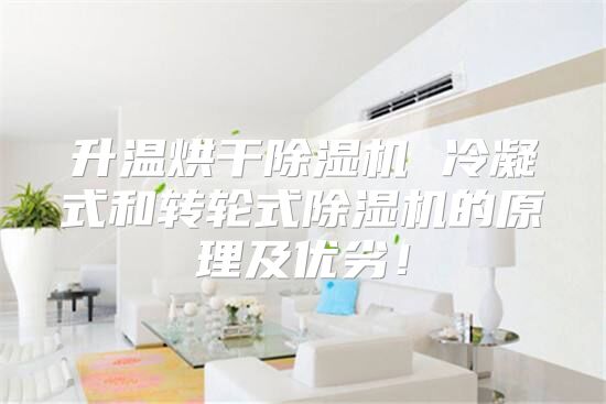 升温烘干除湿机 冷凝式和转轮式除湿机的原理及优劣！