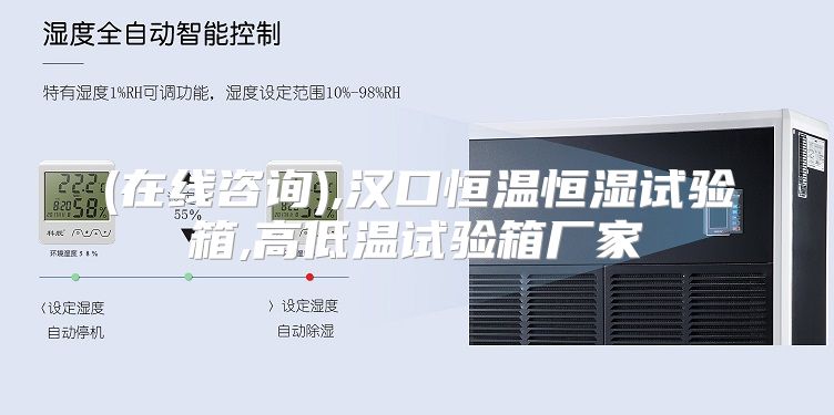 (在线咨询),汉口恒温恒湿试验箱,高低温试验箱厂家