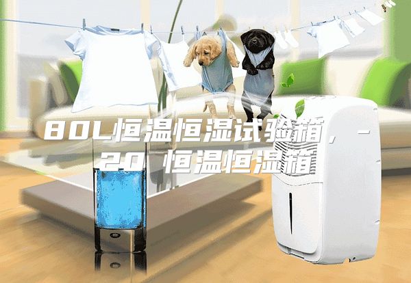 80L恒温恒湿试验箱，-20℃恒温恒湿箱