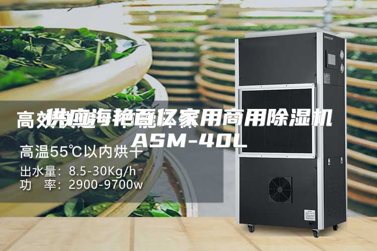供应海艳百亿家用商用除湿机ASM-40L