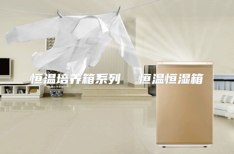恒温培养箱系列  恒温恒湿箱
