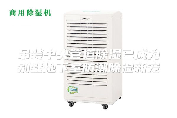 吊装中央管道除湿已成为别墅地下室防潮除湿新宠