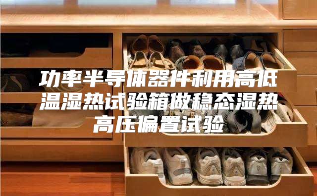 功率半导体器件利用高低温湿热试验箱做稳态湿热高压偏置试验