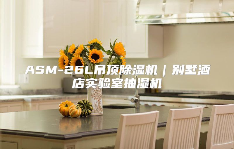 ASM-26L吊顶除湿机｜别墅酒店实验室抽湿机