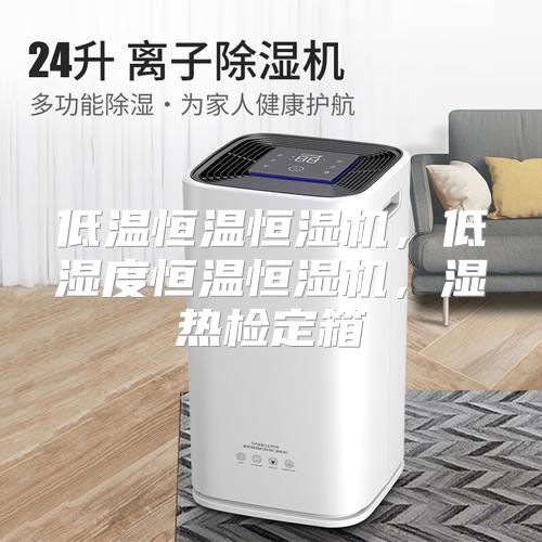 低温恒温恒湿机，低湿度恒温恒湿机，湿热检定箱