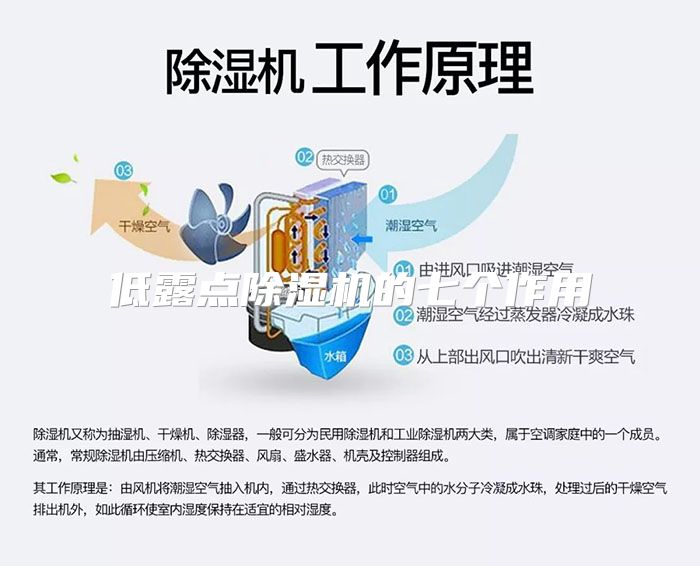 低露点除湿机的七个作用