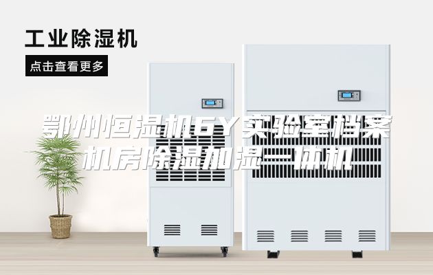 鄂州恒湿机6Y实验室档案机房除湿加湿一体机