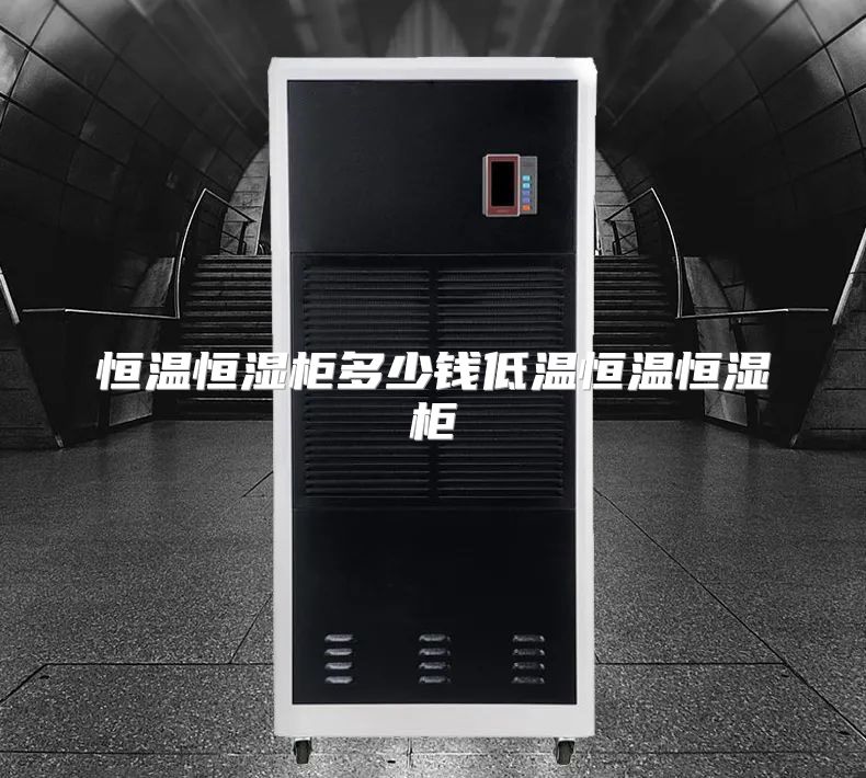 恒温恒湿柜多少钱低温恒温恒湿柜