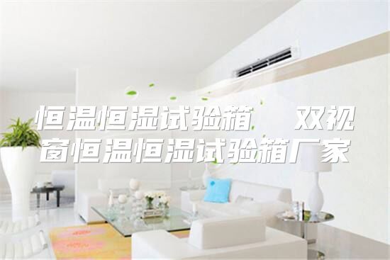 恒温恒湿试验箱  双视窗恒温恒湿试验箱厂家