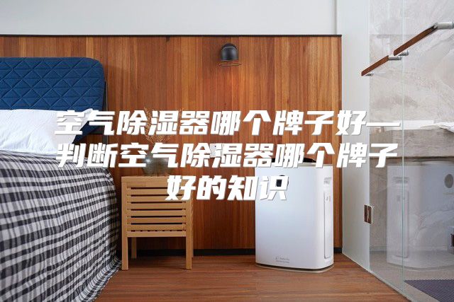 空气除湿器哪个牌子好—判断空气除湿器哪个牌子好的知识