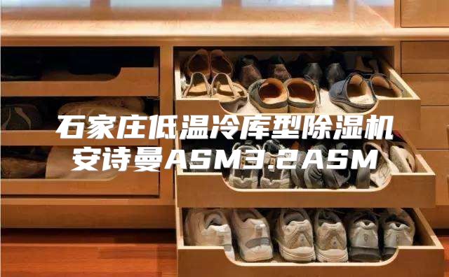 石家庄低温冷库型除湿机安诗曼ASM3.2ASM