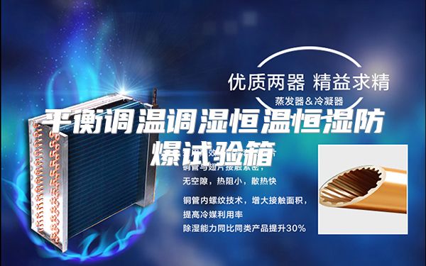 平衡调温调湿恒温恒湿防爆试验箱